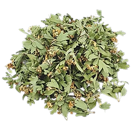 Fırsat Kapısı ALIÇ YAPRAK ÇİÇEĞİ 150 GR