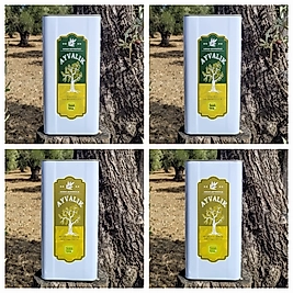 ilk Hasat & Olgun Hasat Zeytinyağı 5lt.  X4
