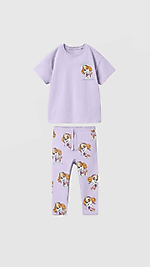 DİSNEY PAW PATROL TAKIM