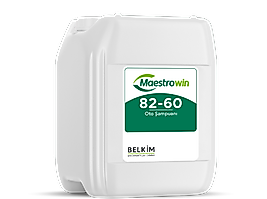 Maestrowin 82-60 Oto Şampuanı 20KG