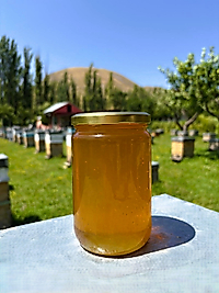 Süzme Bal 850 gr