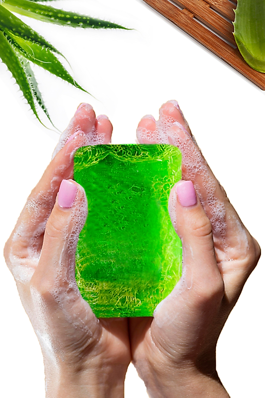 Aloe Vera Kabak Lifli Sabun