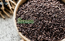 Fırsat Kapısı ÜZERLİK TOHUMU 150 GR