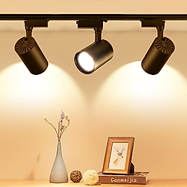 Ray Spot Armatür 30Watt Siyah Kasa