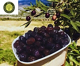 SELE ZEYTİN 1 KG