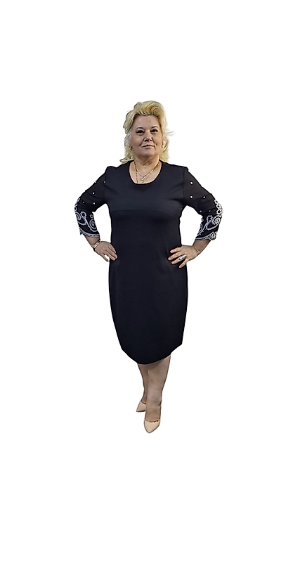 Ebise