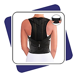 Case-HB8247 Posturex