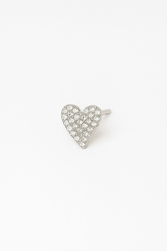 KALPLİ TRAGUS Piercing Helix Kıkırdak FİGÜRLÜ (GÜMÜŞ İĞNELİDİR)