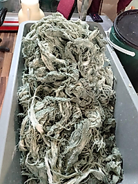 Göğermiş peynir (antibiyotik)