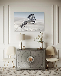 Şahlanan Beyaz At Cam Tablo