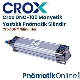 Crox DNC-100 Manyetik Yastıklı Pnömatik Silindir