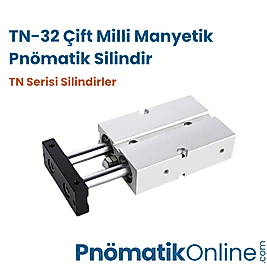 TN-32 Çift Milli Manyetik Pnömatik Silindir