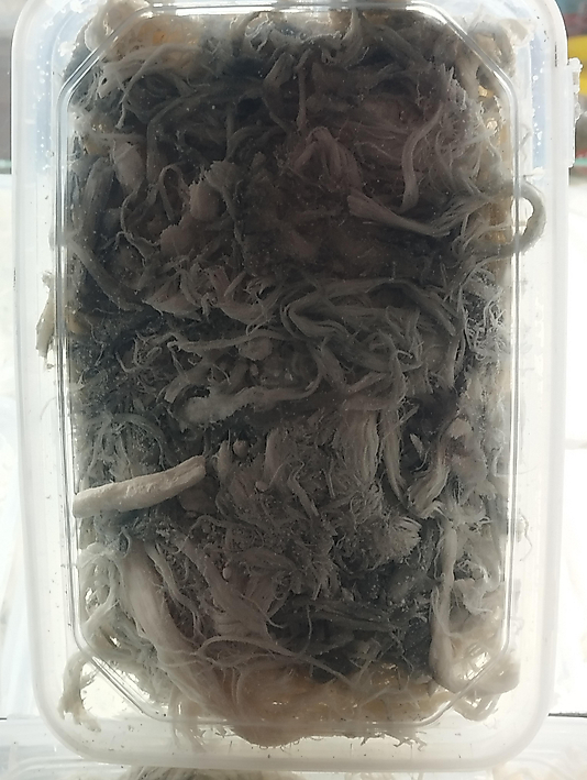 Erzurum Yeşil Peynir 1kg