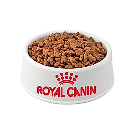 Royal Canin Açık Yavru Kedi Maması