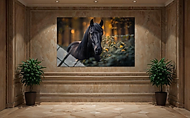 Siyah Atlı Cam Tablo