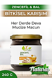 Ballı Zencefilli Bitkisel Karışım Macun 240 Gram