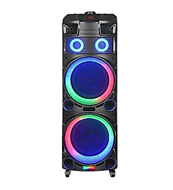 Taşınabilir 2x10 İnç Karaoke Işıklı Bluetooth Mikrofonlu Parti Hoparlör Ndr-7011