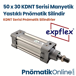 Expflex KDNT 50x30 Manyetik Yastıklı Pnömatik Silindir