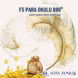 FS Para Okulu 888°