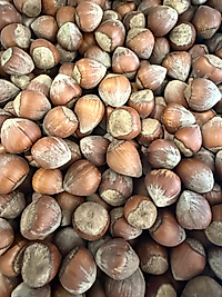 1 kg Giresun Fındık