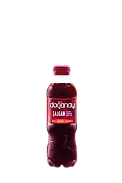 Doğanay 300ml pet şişe acılı şalgam 24 lü