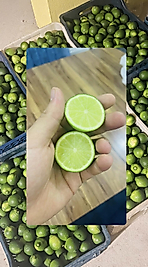 Lime Limon (1 Kg)
