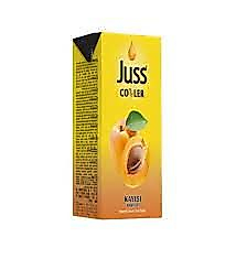 JUSS KAYISI 200ML