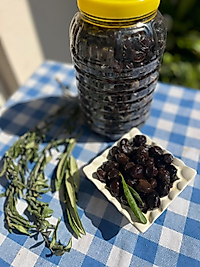 Gemlik( Trilya) Büyük Boy Zeytin 1KG