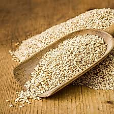 150 GR Susam