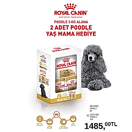 Royal Canin Poodle Köpek Maması 3 Kg + 2 Adet Yaş Mama Hediyeli