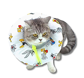 Kedi ve Köpek İçin Operasyon Boyunluğu