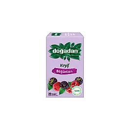 Doğadan Böğürtlen 20 Li