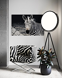 Zebra Cam Tablo