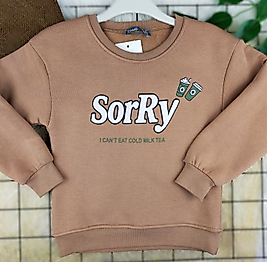 3 - 12 Yaş Arası Üçiplik Şardonlu Erkek Çocuk Sweat