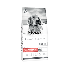 Molly Somonlu Yetişkin Köpek Maması (2 kg)