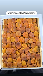 4 NO'LU MALATYA KAYSI (KUTU İÇİ=5 KG)