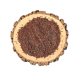 ROKA TOHUMU 150 GR