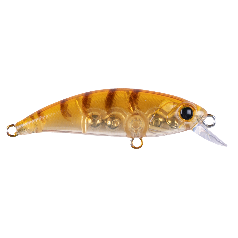 Hanfish Zıpır K-11 Honey Shrimp
