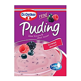 Dr.Oetker Orman Meyveli Puding 81 g