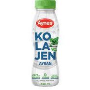 Çeşnili Kolejenli Ayran (Aynes)