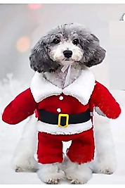 Noel baba Onden giydirme Köpek Kıyafeti Kostümü