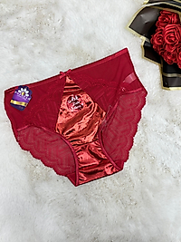 Dantel Detaylı Parlak külot 5592