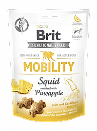 BRIT MOBILITY