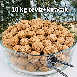 10 KG İnce Kabuklu Beyaz Ceviz + Ceviz Kıracak
