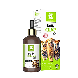 Biotin Collagen for Dog Nanbell – Köpekler İçin Biotin ve Kolajen Desteği