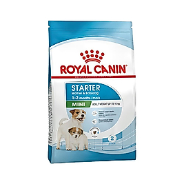 Royal Canin Mini Starter Anne ve Bebek Küçük Irk Yavru Köpek Maması 4 kg