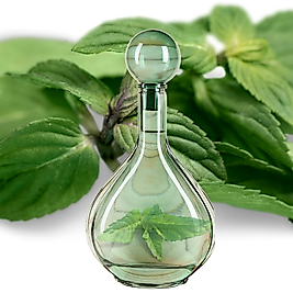 %100 TIBBİ NANE HİDROSOLÜ    Mentha piperita Leaf Water  Distile Su ve Esans İçermez!