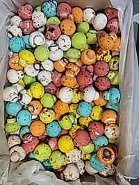 ÇİKOLATALI MANTAR DRAJE (KUTU İÇİ=3 KG)