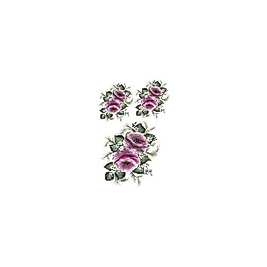Gülsün Ülkü 17*25 G-21