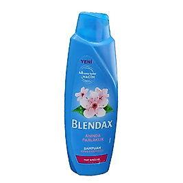 BLENDAX KİRAZ ÇİÇEĞİ ÖZLÜ ŞAMPUAN 500 ML